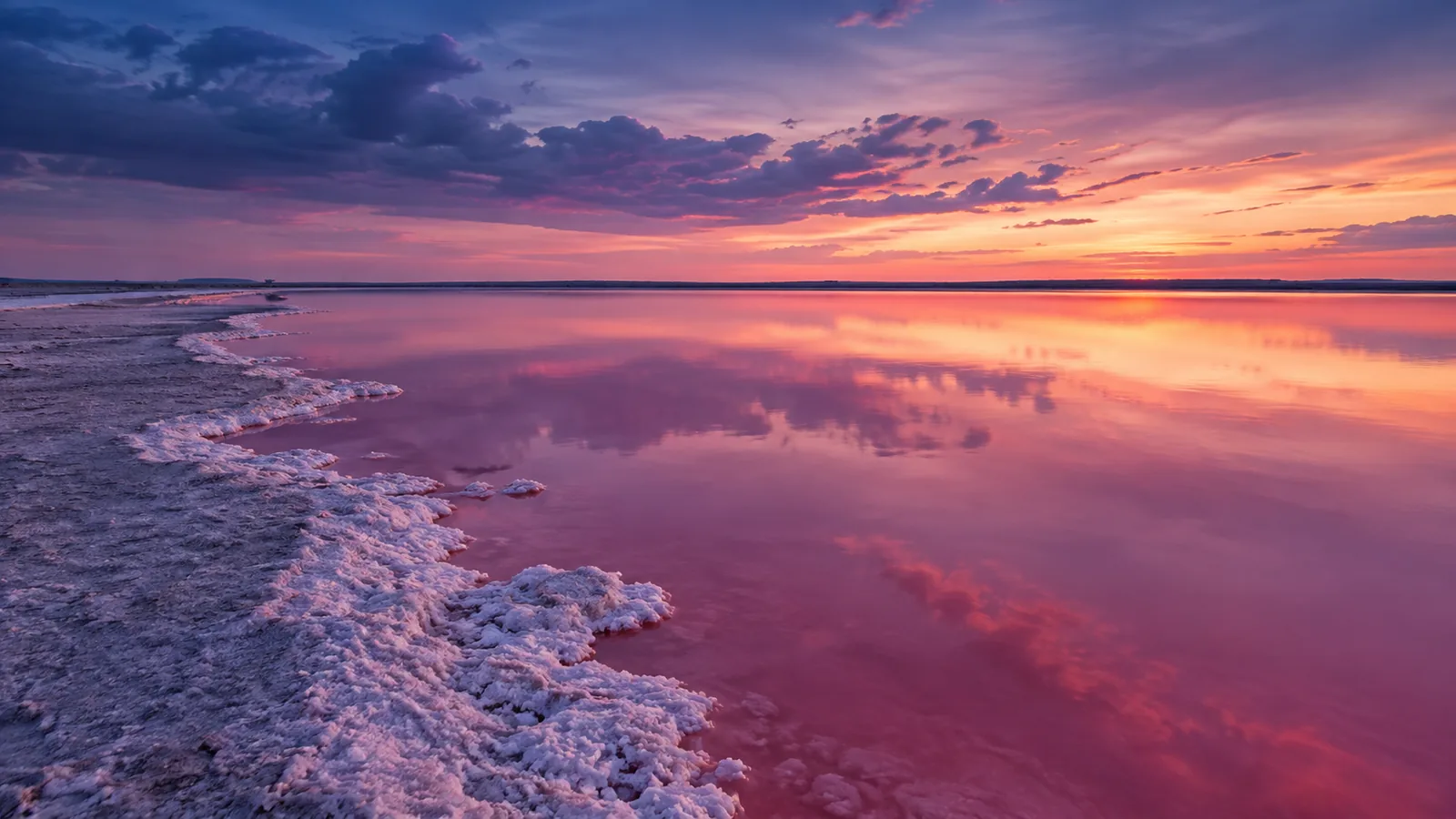 Las Coloradas – Die rosa Lagunen