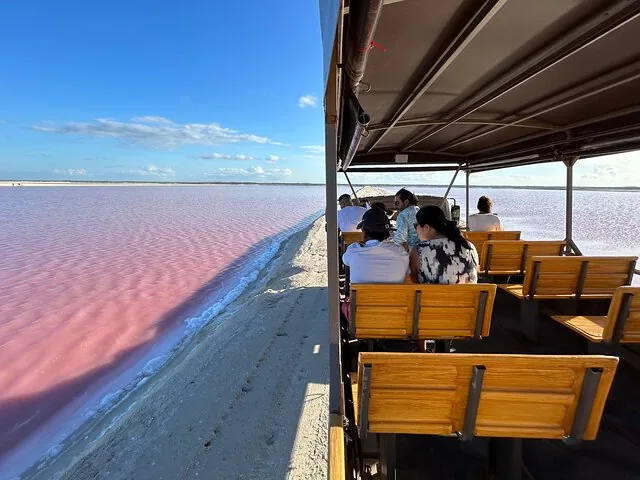 Passagiere sitzen in einem offenen Tourfahrzeug neben einem rosa See.